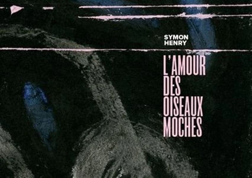 Amour Des Oiseaux Moches (L').