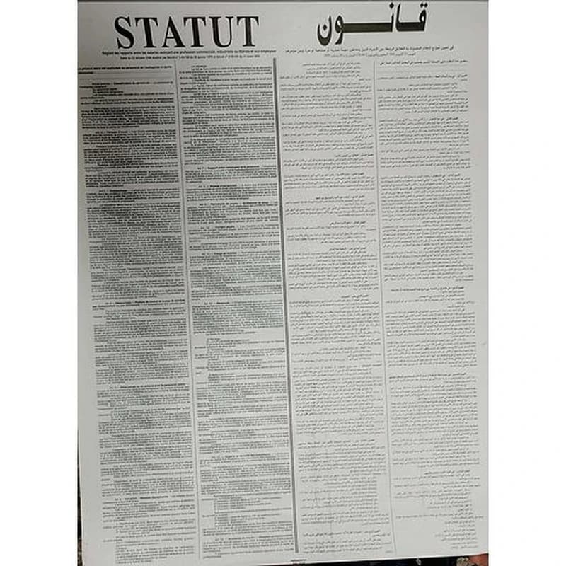 Statuts Professionnels Grand Format  de Travail