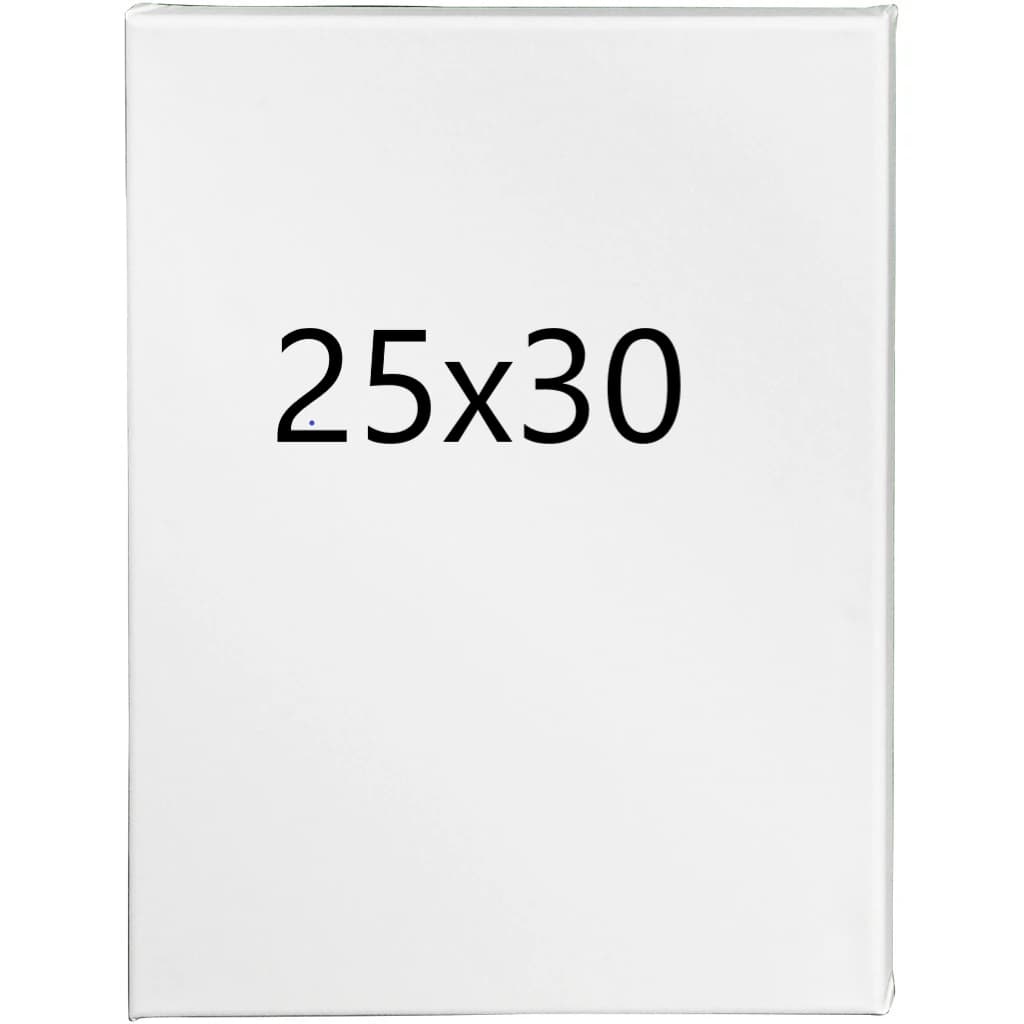Toile Peinture 25x30
