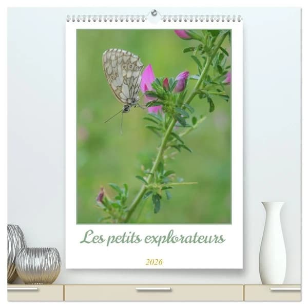 Les petits explorateurs  (Calendrier mural 2026 DIN A2 horizontal) calendrier de bureau : Découvrez la magie des insectes !
