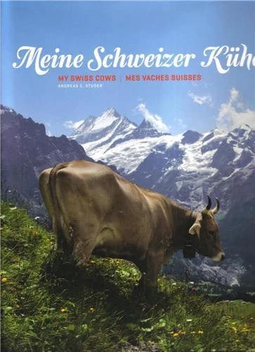 Meine schweizer kuhe