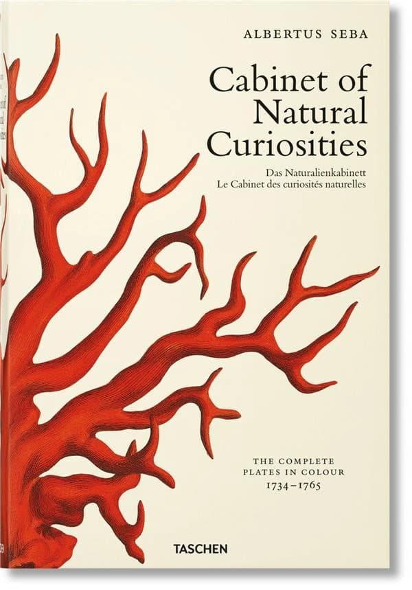 Cabinet of natural curiosities