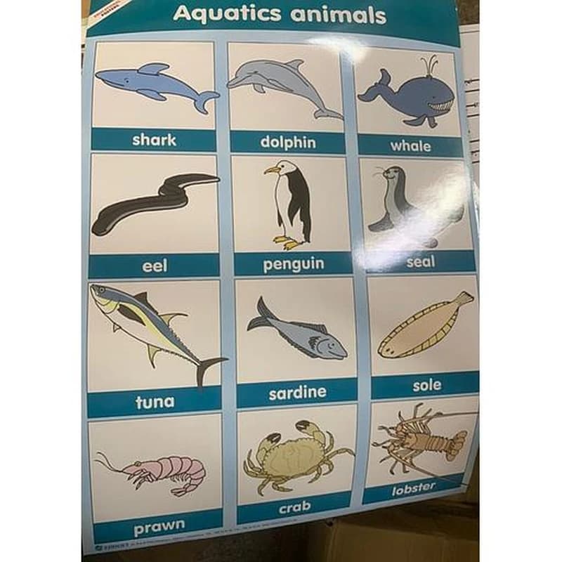 poster éducatif Aquatics animals