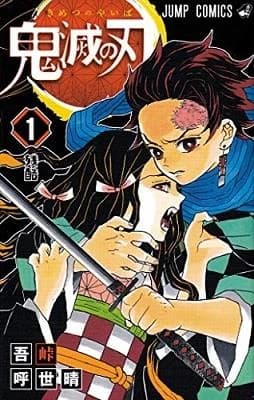 Demon slayer 1 (manga en vo japonais)