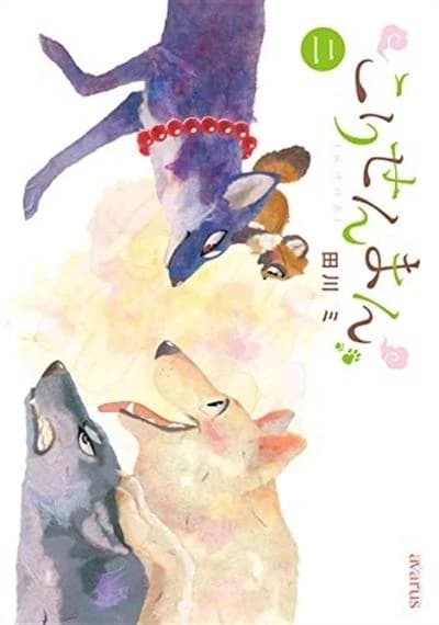Le renard et le petit tanuki 2 (manga vo)