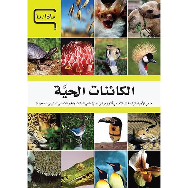 الكائنات الحية