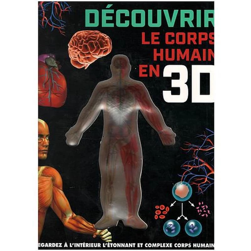 Découvrir le corps humain en 3D