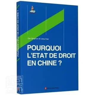 法治的中国道路