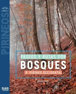 Paseos y rutas por bosques