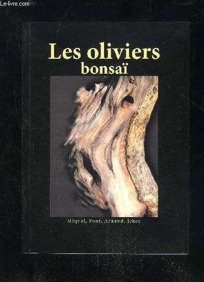 Les oliviers : bonsaï