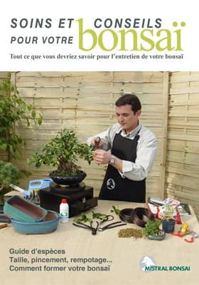 Soins et conseils pour votre bonsaï ; tout ce que vous devriez savoir pour l'entretien de votre bonsaï