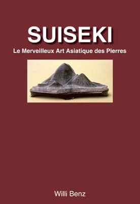 Suiseki ; le merveilleux art asiatique des pierres