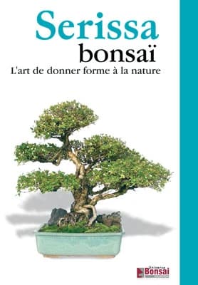Serissa bonsai ; l'art de donner forme à la nature