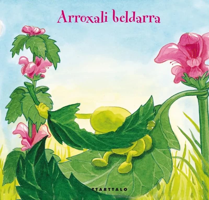 Arroxali beldarra
