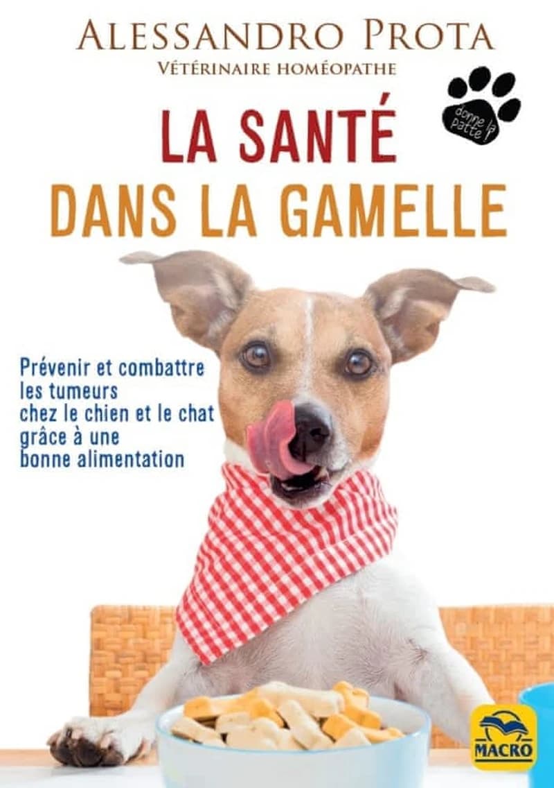La santé dans la gamelle : Prévenir et combattre les tumeurs chez le chien et le chat