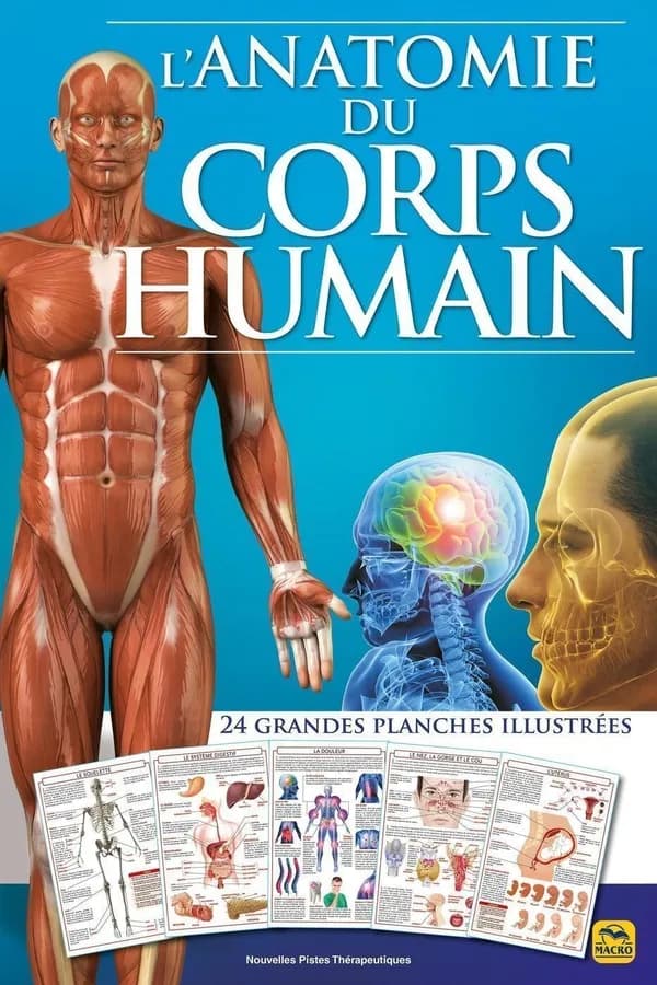 L'anatomie du corps humain : 24 grandes planches décrivant les différentes parties du corps