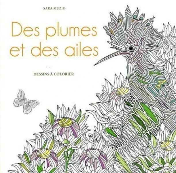 Des plumes et des ailes : Dessins à colorier