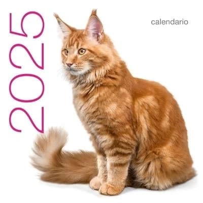 Calendrier mural Chats