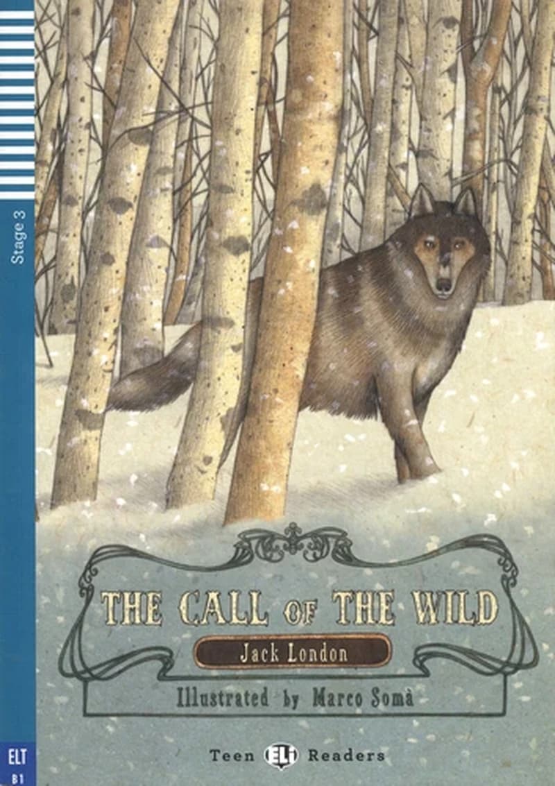 The Call of The Wind (Stage 3)+CD