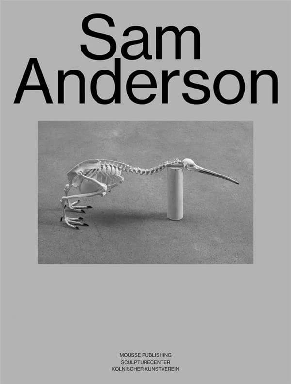 Sam anderson