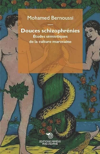 Douces schizophrénies : études sémiotiques de la culture marocaine