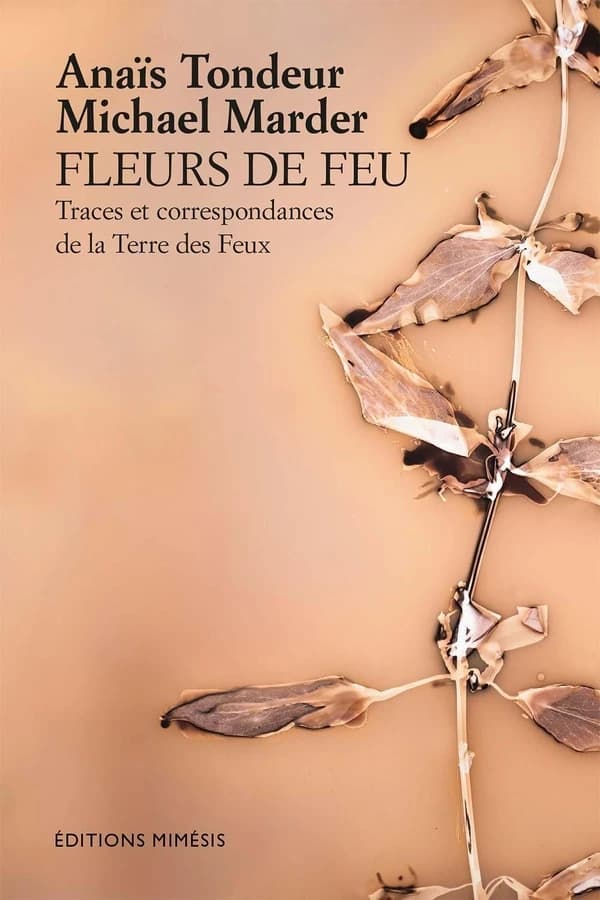 Fleurs de feux