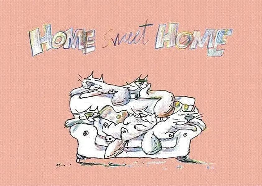Home sweet home