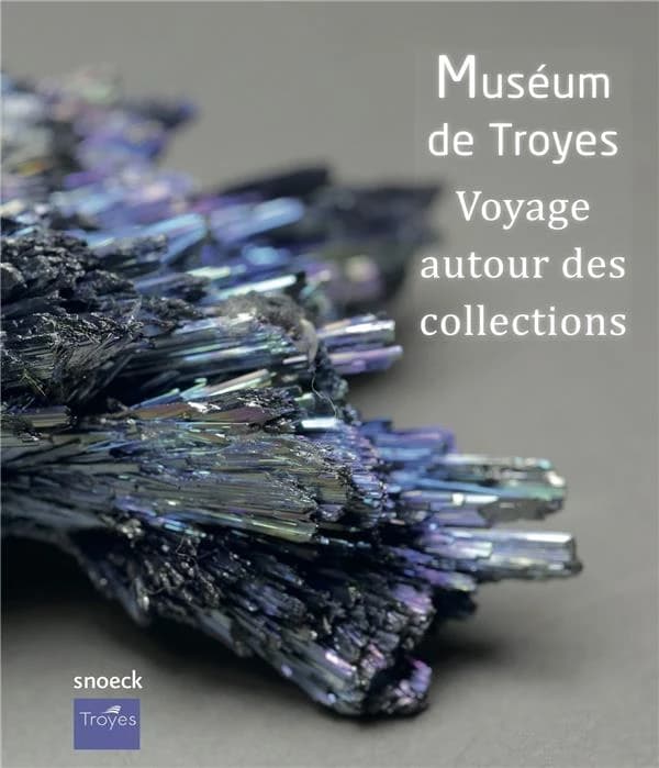 Muséum de Troyes : voyage autour des collections