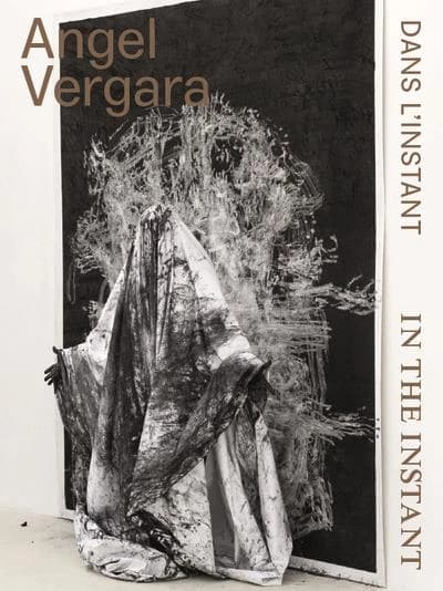 Angel Vergara, Dans l'instant : [exposition, Hornu, Belgique, Musée des arts contemporains au Grand-Hornu, 23 avril-8 octobre 2023]