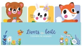 Livres en boîte : 3 histoires de campagne