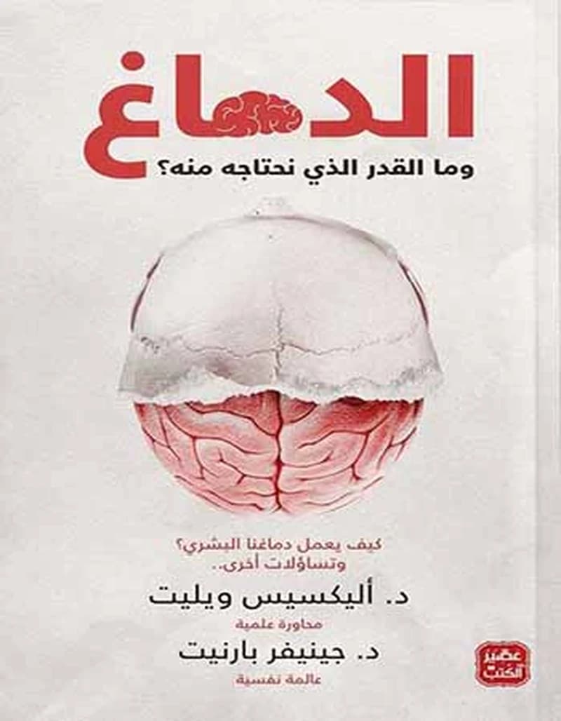 الدماغ وما المقدار الذي نحتاجه منه