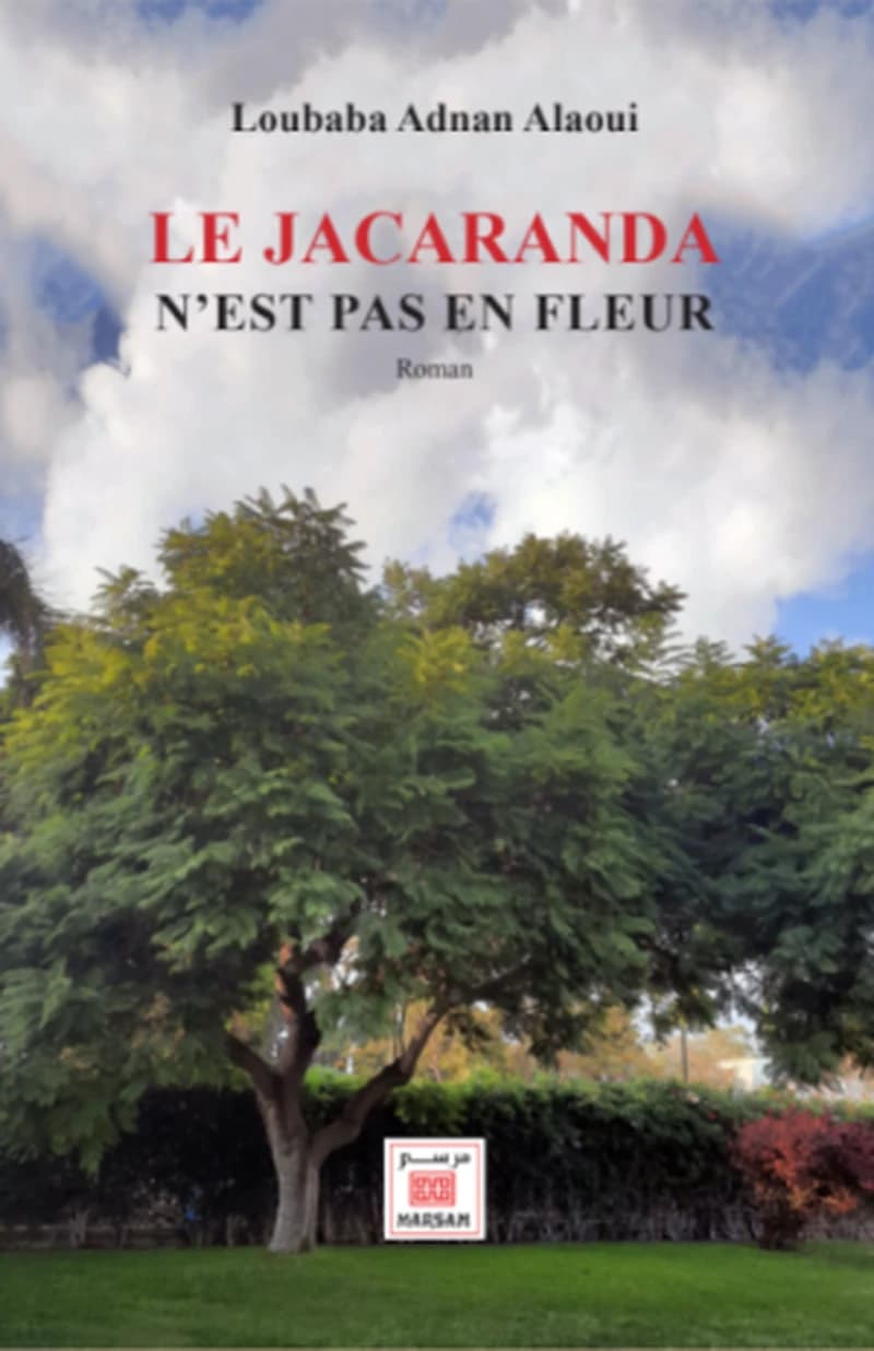 LE JACARANDA N'EST PAS EN FLEUR