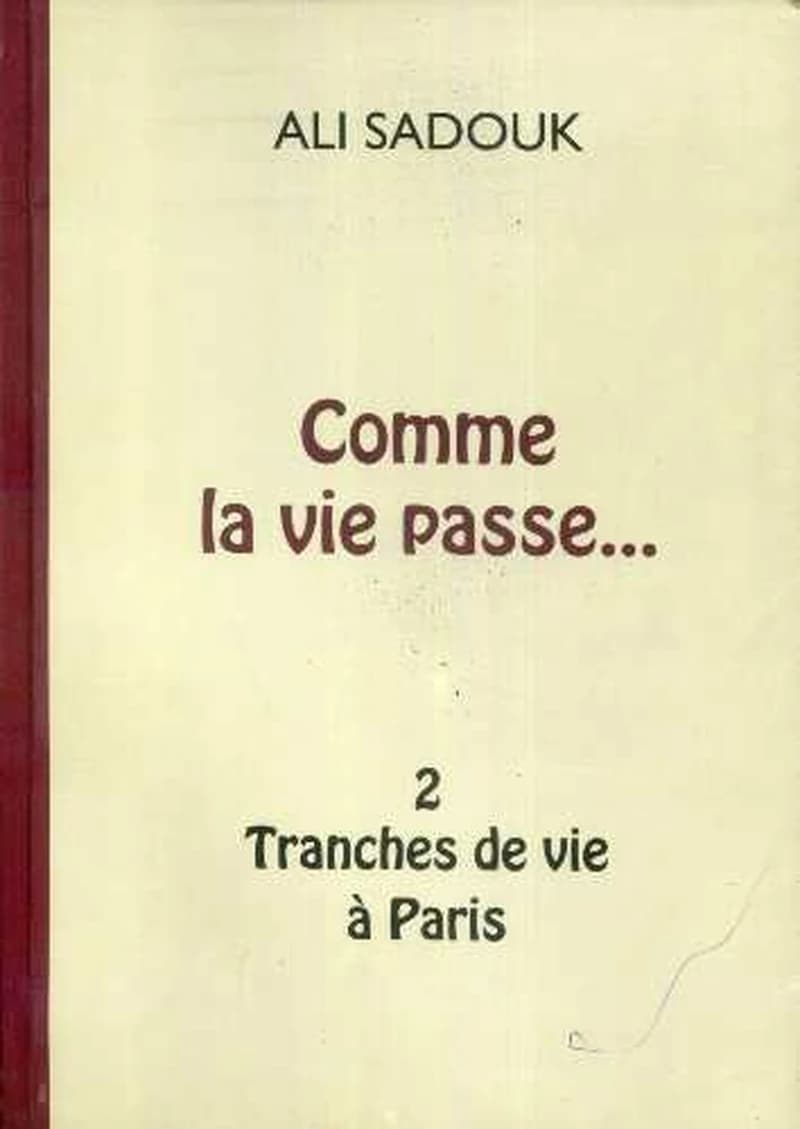 Comme la vie passe... Tome 2 Tranches de vie à paris
