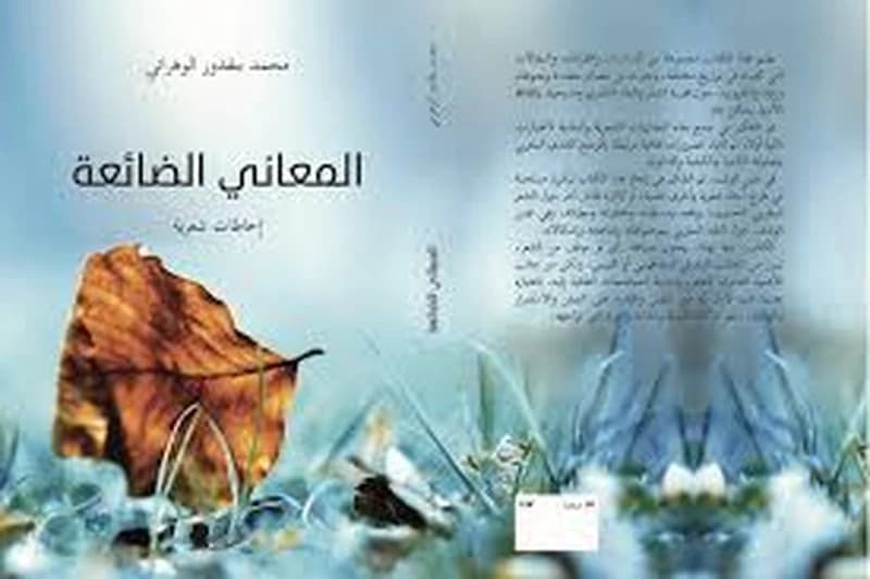 المعاني الضائعة