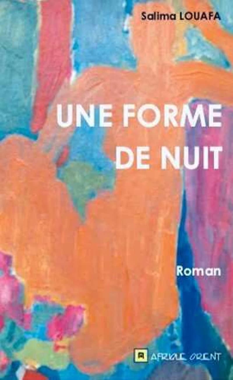 Une forme de nuit : roman
