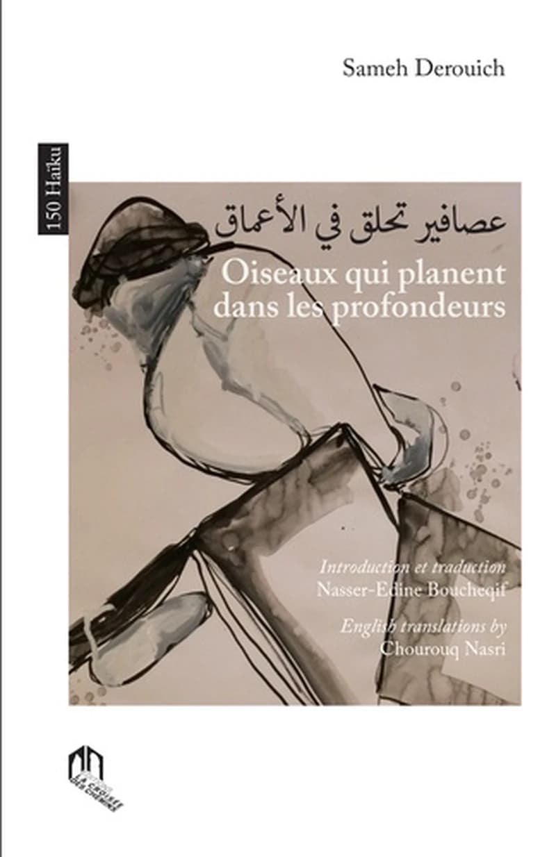 Oiseaux qui planent dans les profondeurs