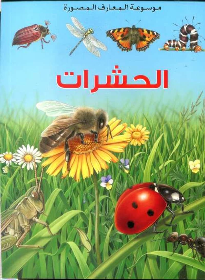 الحشرات