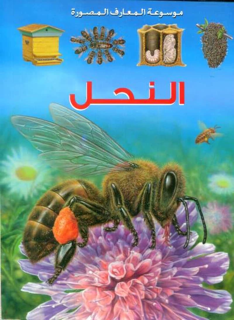 النحل
