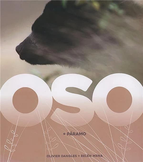 Oso Páramo