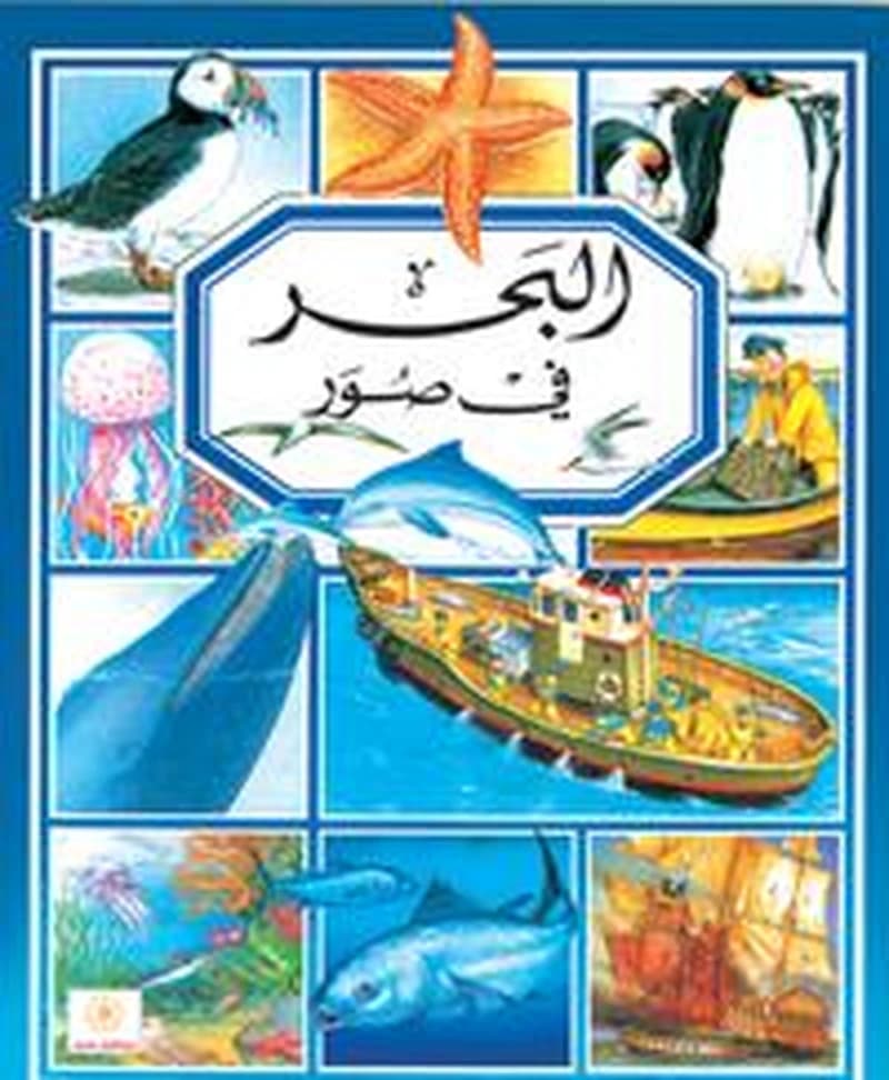 البحر في صور