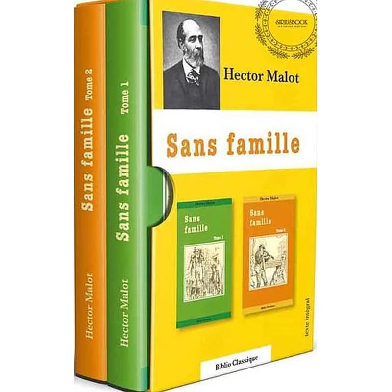 Sans Famille ( Coffret 1