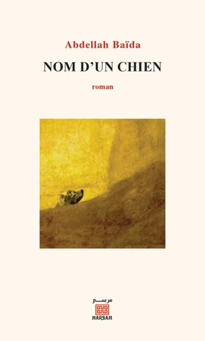 Nom d'un chien : roman (2ème édition) Abdellah Baida