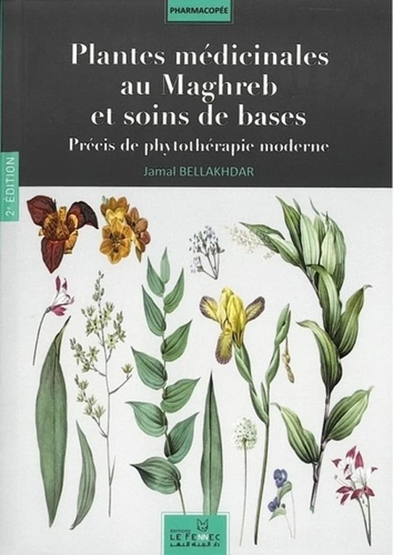 Plantes médicinales au maghreb et soins de base : précis de phytothérapie moderne