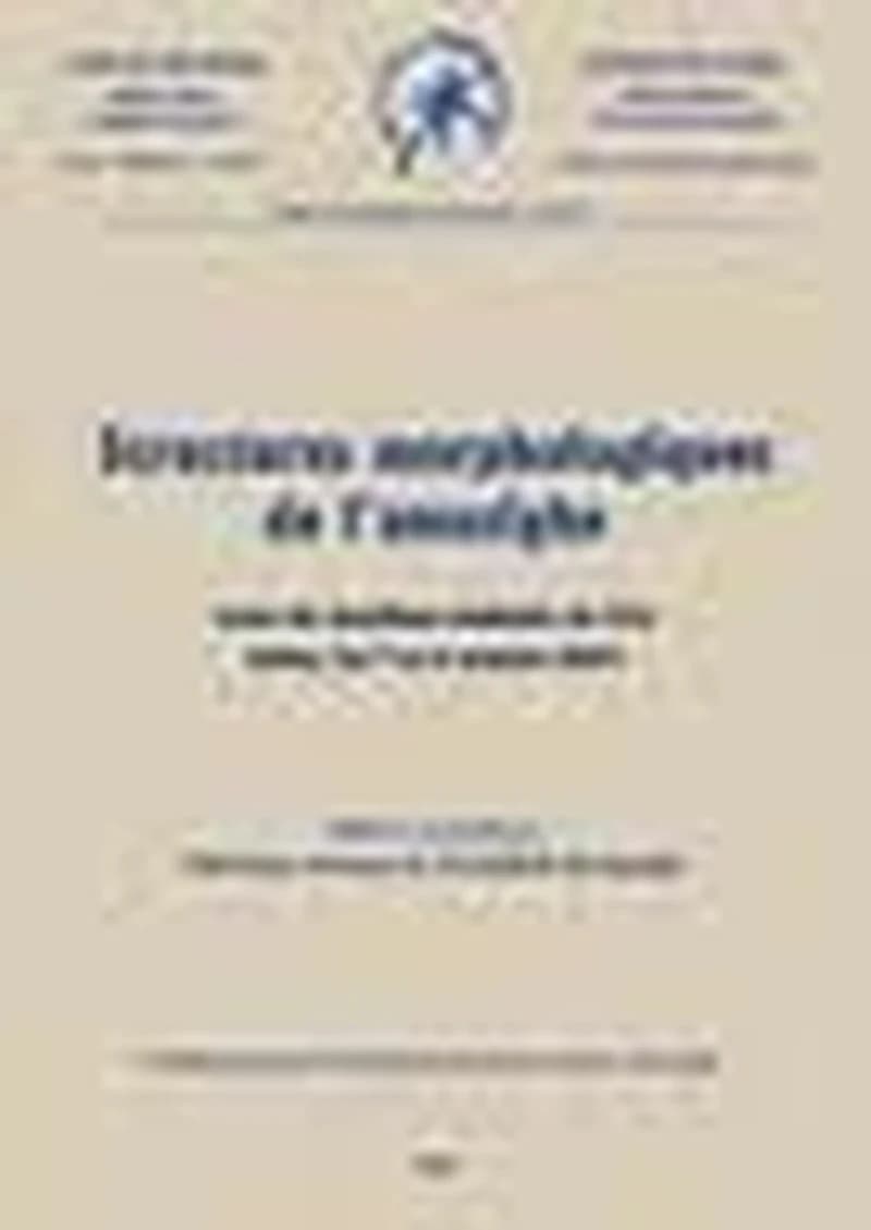Structures morphologiques de l'amazighe