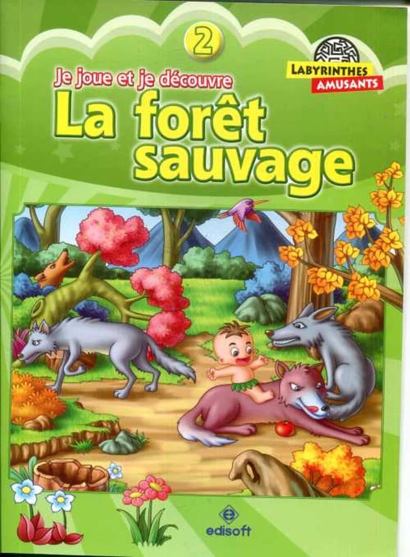 Labyrinthes Amusants je Joue et je Découvre 2: La Forêt Sauvage
