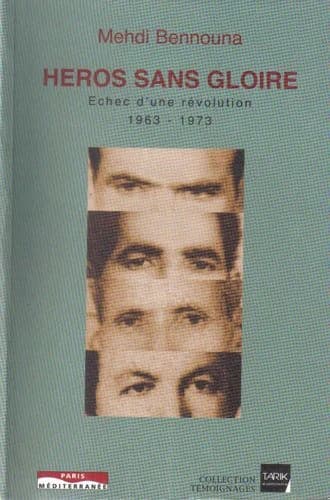 Héros sans gloire : échec d'une révolution, 1963-1973