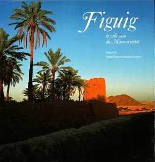Figuig, la ville oasis du Maroc oriental