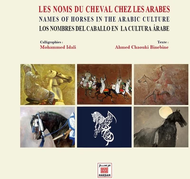 Les noms du cheval chez les Arabes
