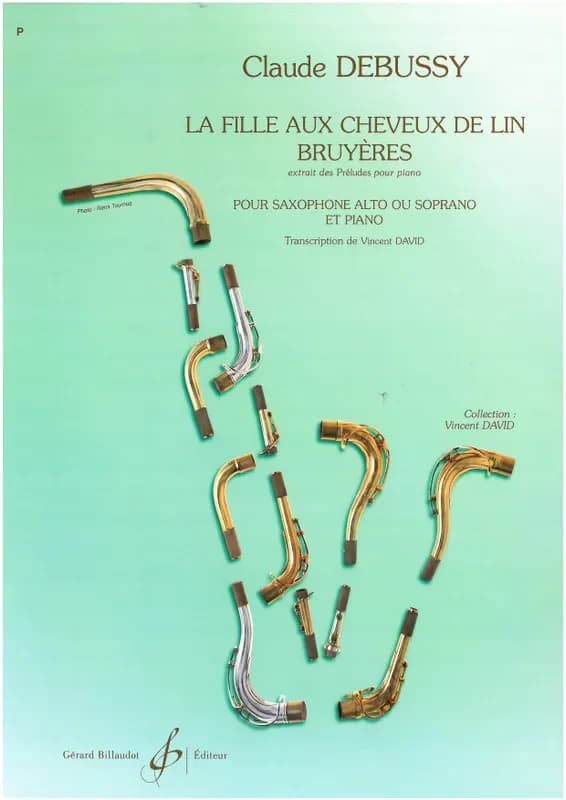 La fille aux cheveux de lin