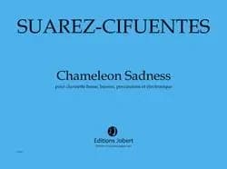 Chameleon sadness --- clarinette basse, basson, percussions et electronique